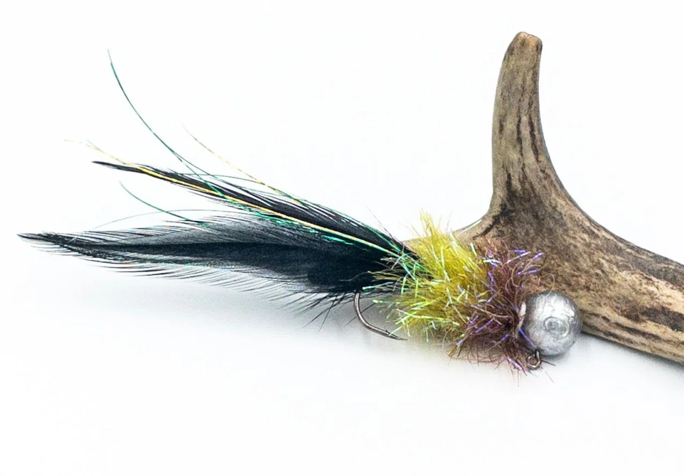 Sada Kogut jigstreamer